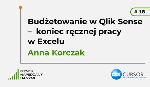 Budżetowanie w Qlik Sense – koniec ręcznej pracy w Excelu