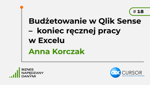 Budżetowanie w Qlik Sense – koniec ręcznej pracy w Excelu