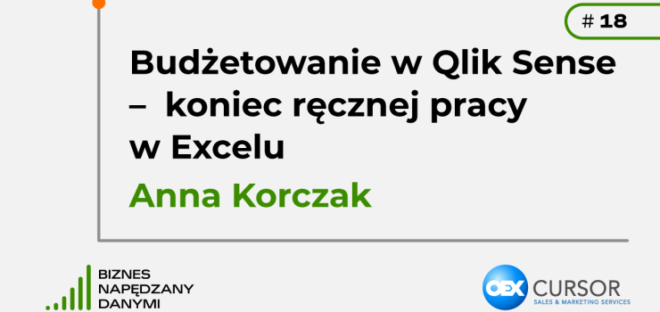 Budżetowanie w Qlik Sense – koniec ręcznej pracy w Excelu