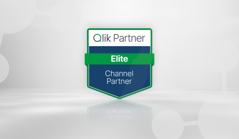 Qlik Elite Channel Partner